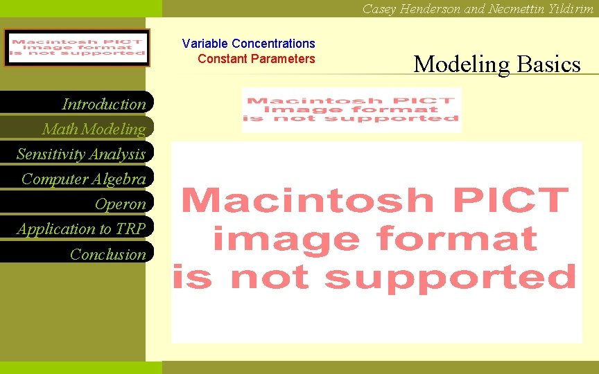 Casey Henderson and Necmettin Yildirim NCF LOGO Introduction Math Modeling Sensitivity Analysis Computer Algebra