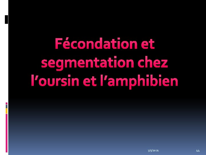 Fécondation et segmentation chez l’oursin et l’amphibien 3/5/2021 44 