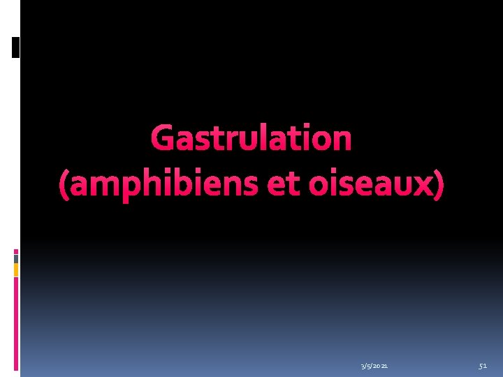 Gastrulation (amphibiens et oiseaux) 3/5/2021 51 