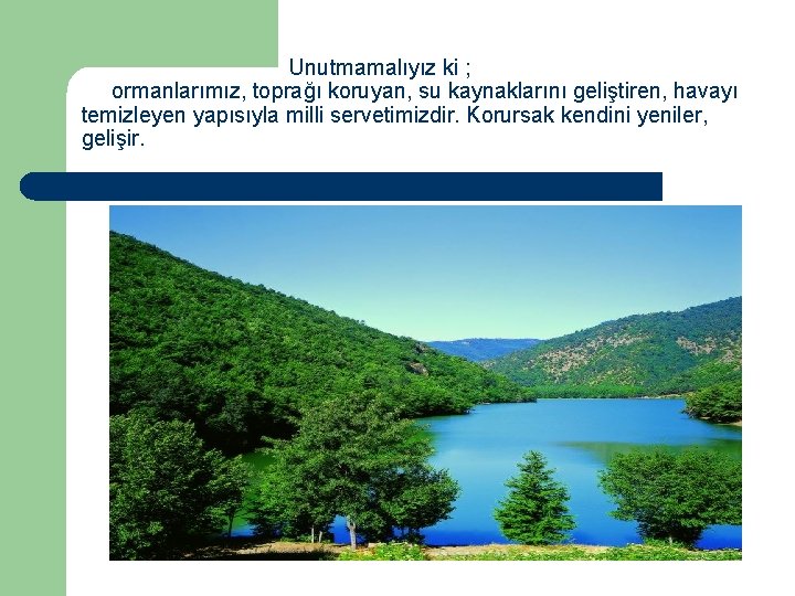  Unutmamalıyız ki ; ormanlarımız, toprağı koruyan, su kaynaklarını geliştiren, havayı temizleyen yapısıyla milli