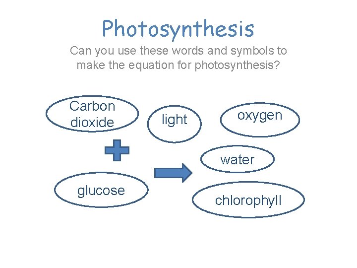 Photosynthesis Can you use these words and symbols to make the equation for photosynthesis?