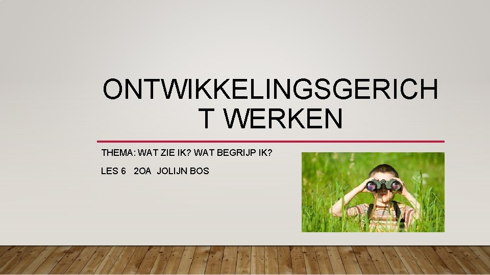 ONTWIKKELINGSGERICH T WERKEN THEMA WAT ZIE IK WAT