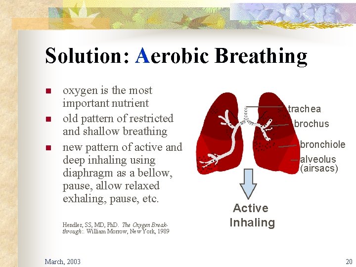 Solution: Aerobic Breathing n n n oxygen is the most important nutrient old pattern