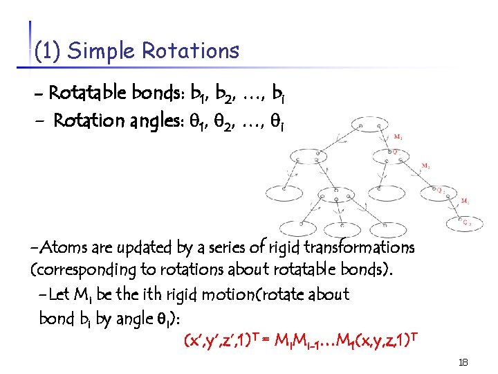 (1) Simple Rotations - Rotatable bonds: b 1, b 2, …, bi - Rotation