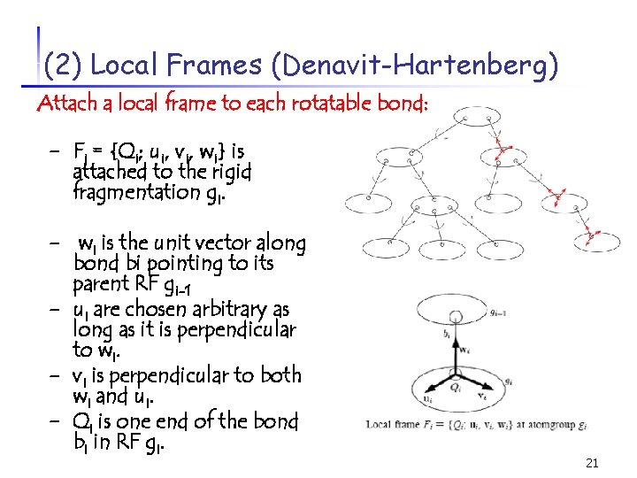 (2) Local Frames (Denavit-Hartenberg) Attach a local frame to each rotatable bond: - Fi