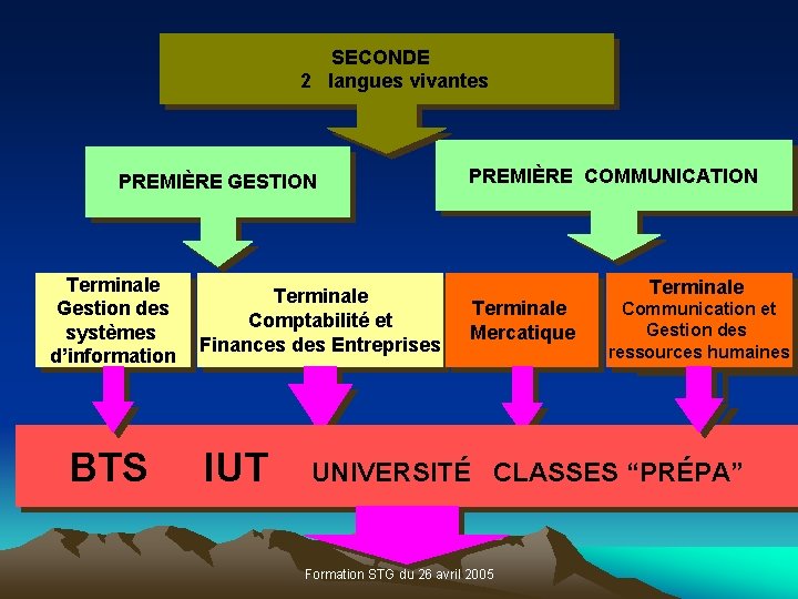 SECONDE 2 langues vivantes PREMIÈRE GESTION Terminale Gestion des systèmes d’information Terminale Comptabilité et