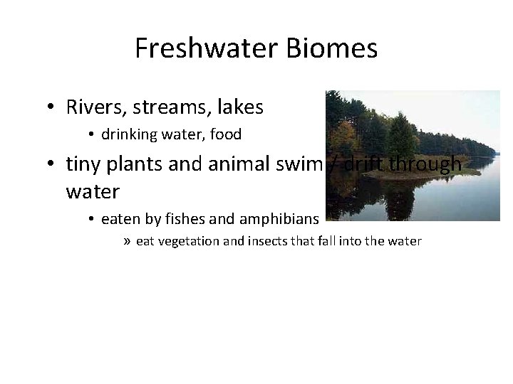 Freshwater Biomes • Rivers, streams, lakes • drinking water, food • tiny plants and