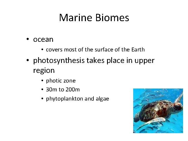 Marine Biomes • ocean • covers most of the surface of the Earth •
