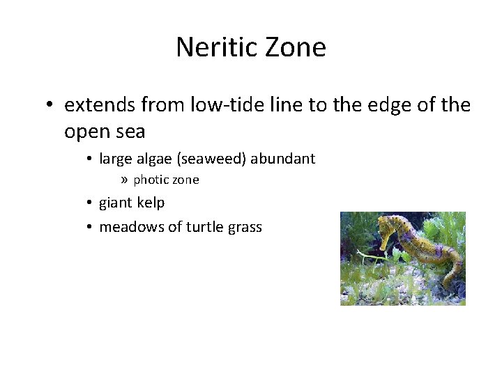 Neritic Zone • extends from low-tide line to the edge of the open sea