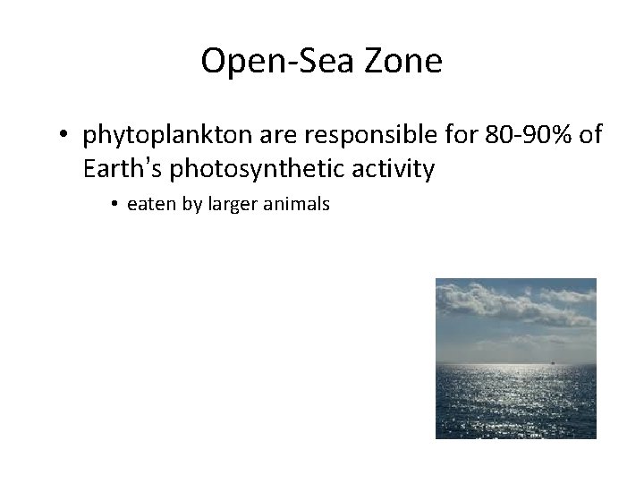 Open-Sea Zone • phytoplankton are responsible for 80 -90% of Earth’s photosynthetic activity •