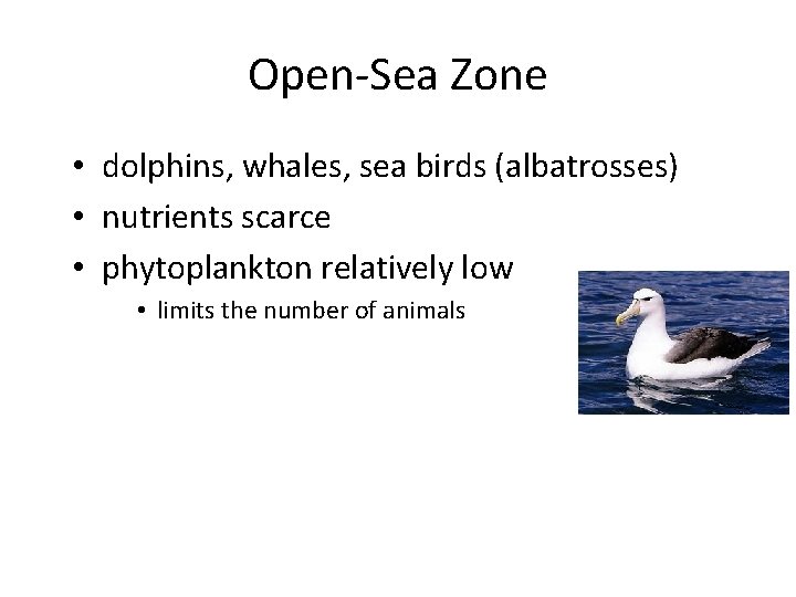 Open-Sea Zone • dolphins, whales, sea birds (albatrosses) • nutrients scarce • phytoplankton relatively