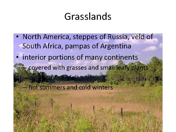 Grasslands • North America, steppes of Russia, veld of South Africa, pampas of Argentina