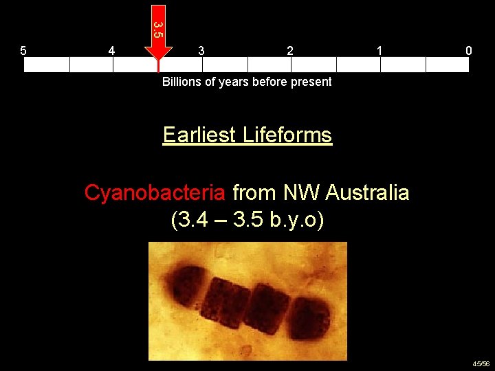 3. 5 5 4 3 2 1 0 Billions of years before present Earliest