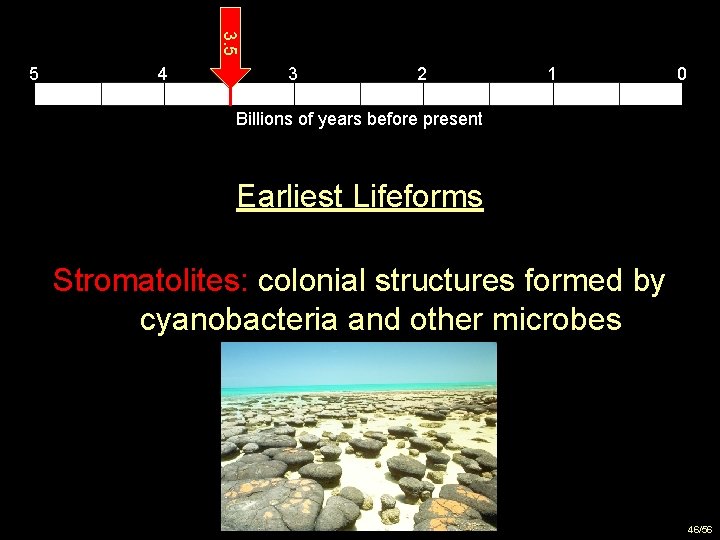 3. 5 5 4 3 2 1 0 Billions of years before present Earliest