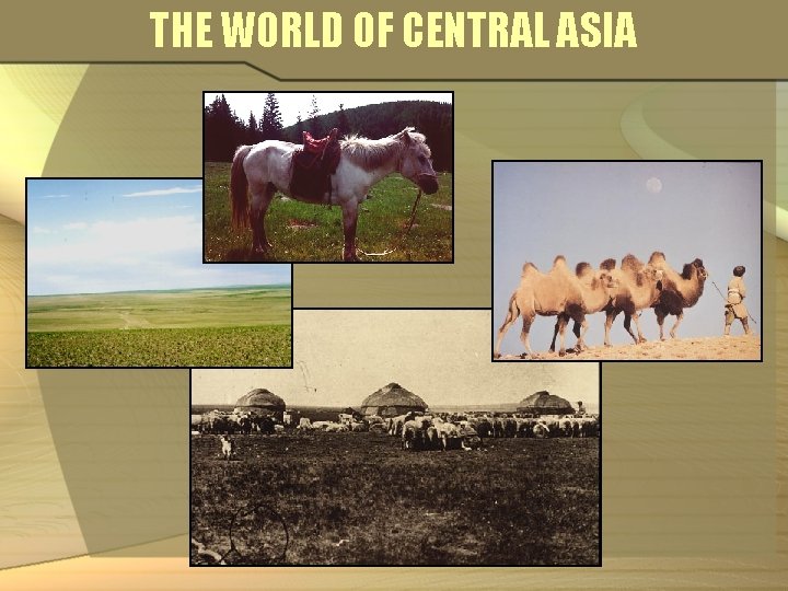 THE WORLD OF CENTRAL ASIA 