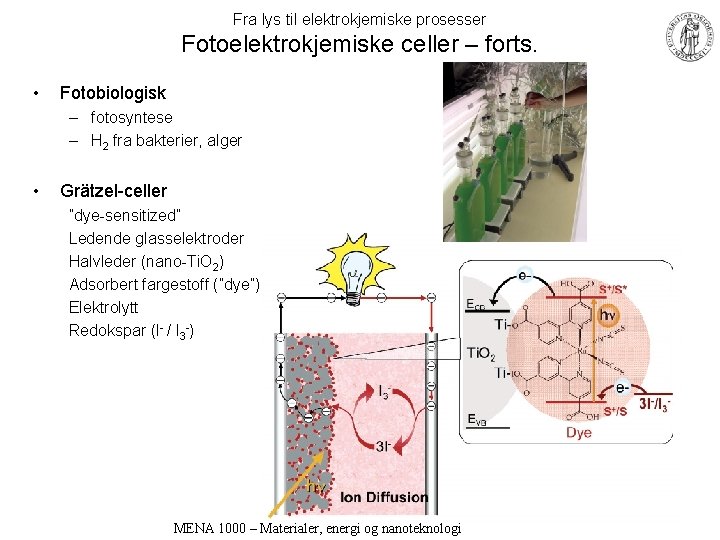 Fra lys til elektrokjemiske prosesser Fotoelektrokjemiske celler – forts. • Fotobiologisk – fotosyntese –