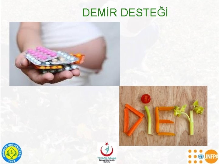 DEMİR DESTEĞİ 