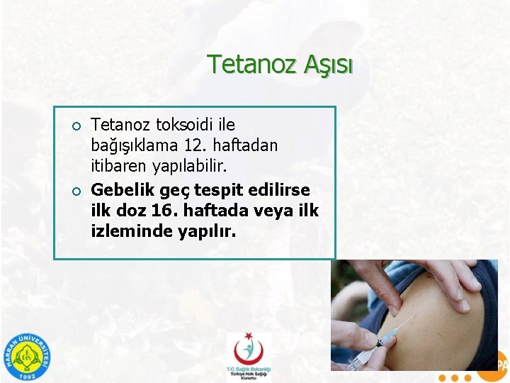 Tetanoz Aşısı ¡ ¡ Tetanoz toksoidi ile bağışıklama 12. haftadan itibaren yapılabilir. Gebelik geç