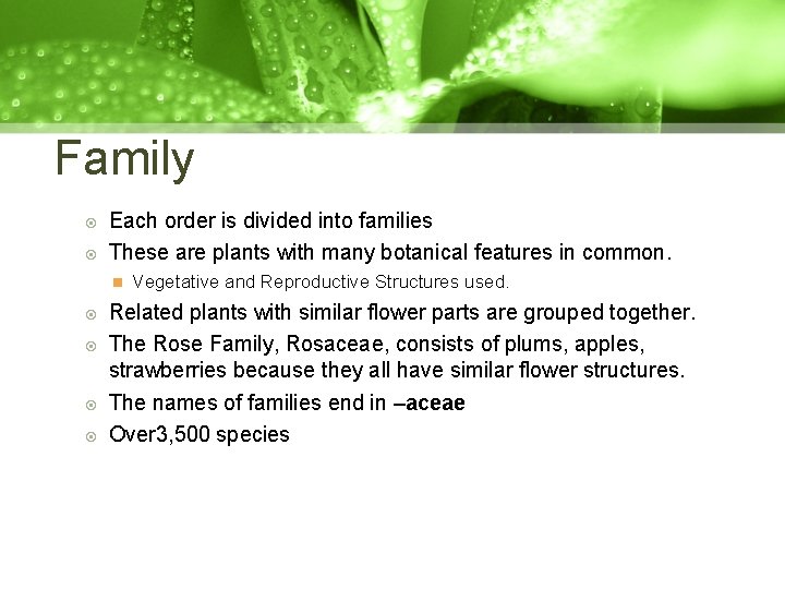 Family Each order is divided into families These are plants with many botanical features