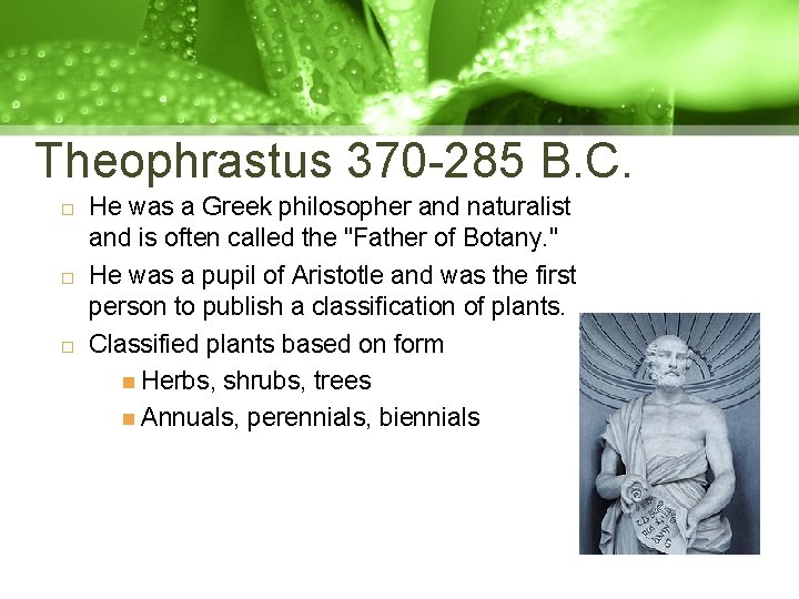 Theophrastus 370 -285 B. C. He was a Greek philosopher and naturalist and is