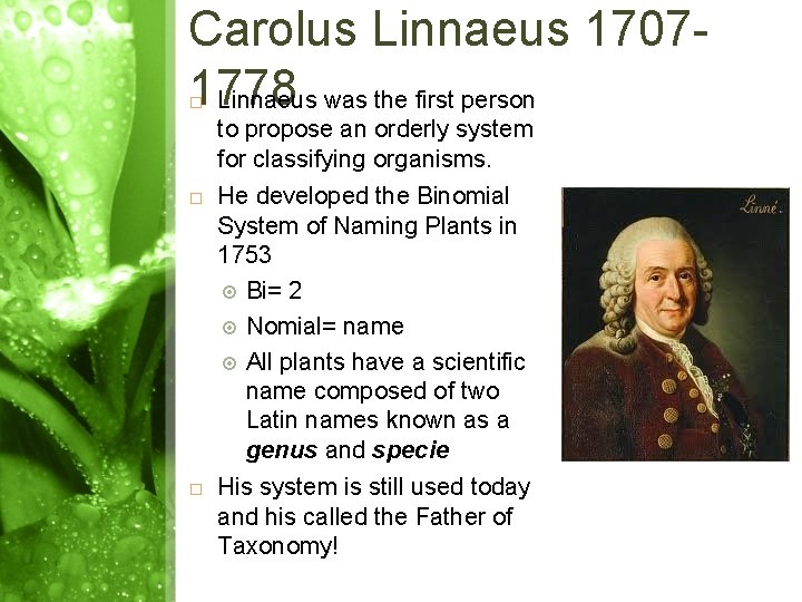 Carolus Linnaeus 17071778 Linnaeus was the first person to propose an orderly system for