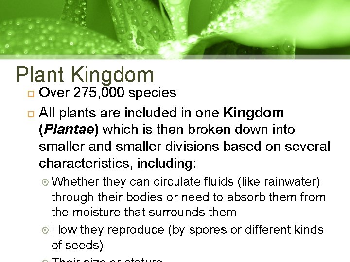 Plant Kingdom Over 275, 000 species All plants are included in one Kingdom (Plantae)