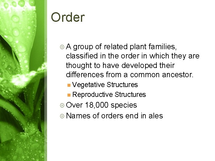 Order A group of related plant families, classified in the order in which they