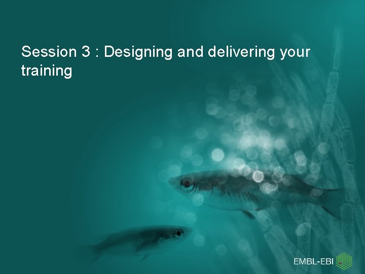 Session 3 : Designing and delivering your training 