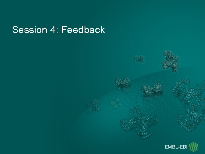 Session 4: Feedback 