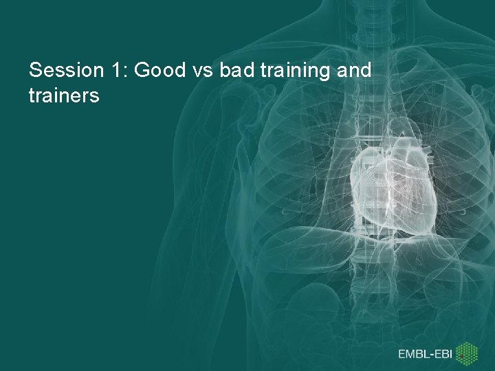 Session 1: Good vs bad training and trainers 