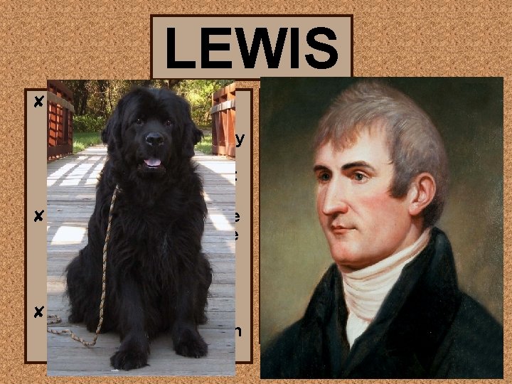 LEWIS ✘ Meriwether Lewis was President Jefferson’s secretary…who actually couldn’t spell all that well