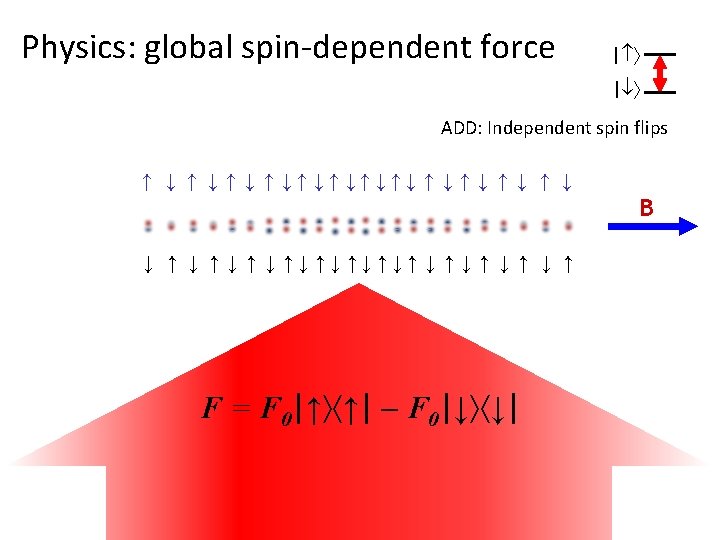 Physics: global spin-dependent force | | ADD: Independent spin flips ↑ ↓ ↑ ↓