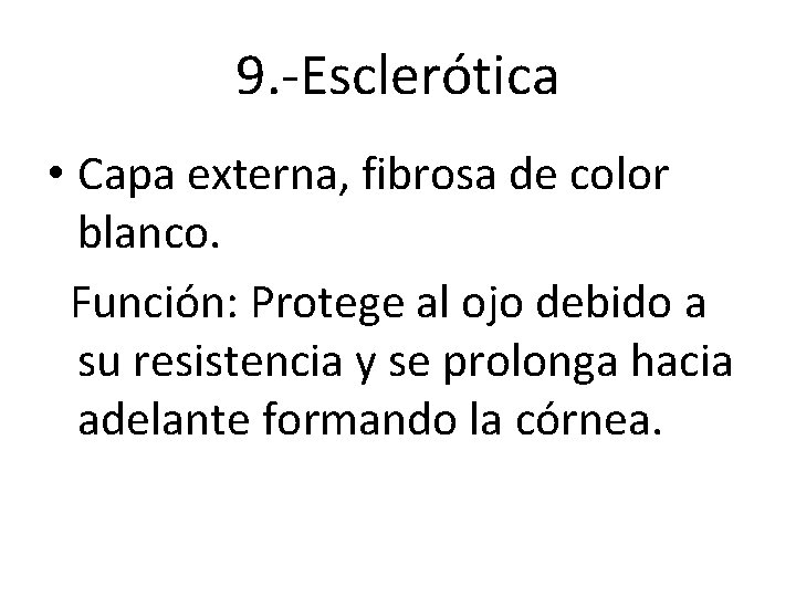 9. -Esclerótica • Capa externa, fibrosa de color blanco. Función: Protege al ojo debido