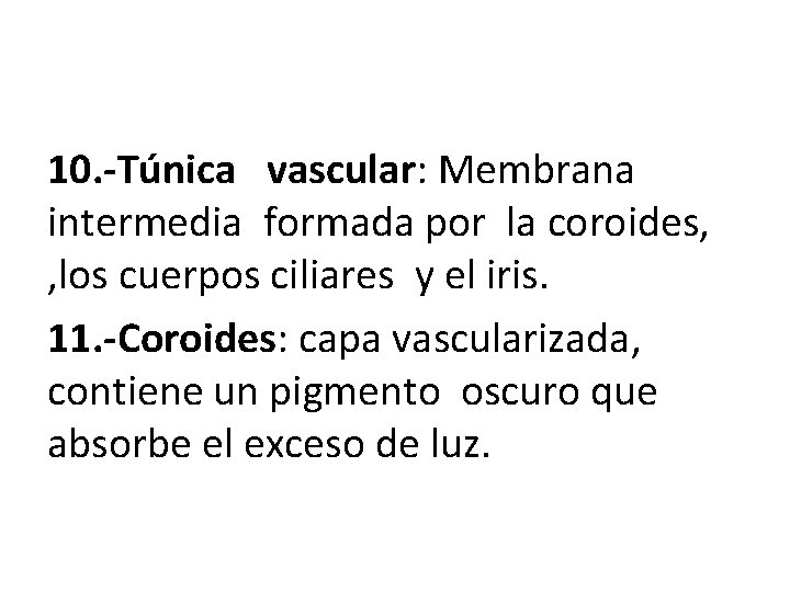 10. -Túnica vascular: Membrana intermedia formada por la coroides, , los cuerpos ciliares y