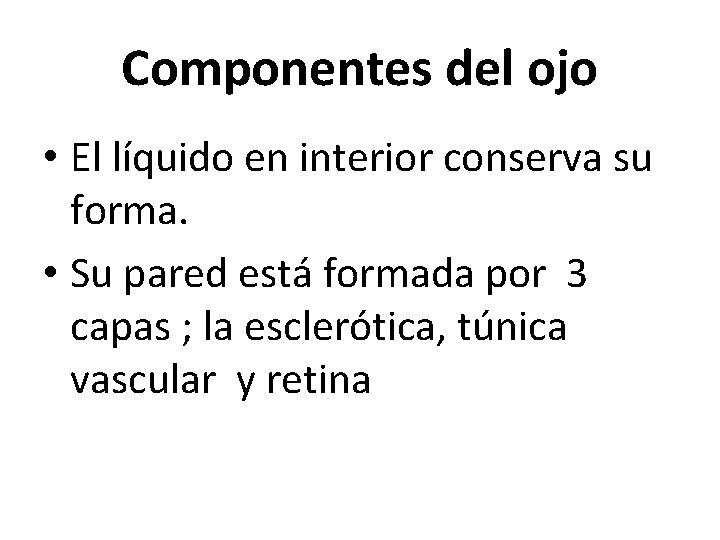 Componentes del ojo • El líquido en interior conserva su forma. • Su pared