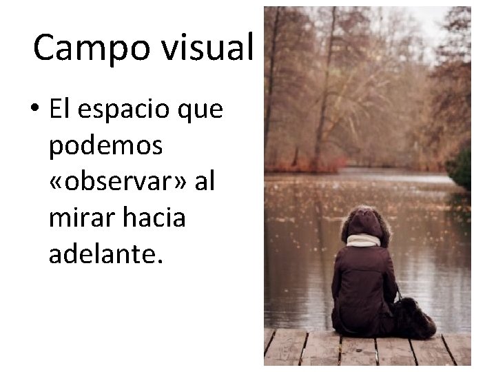Campo visual • El espacio que podemos «observar» al mirar hacia adelante. 