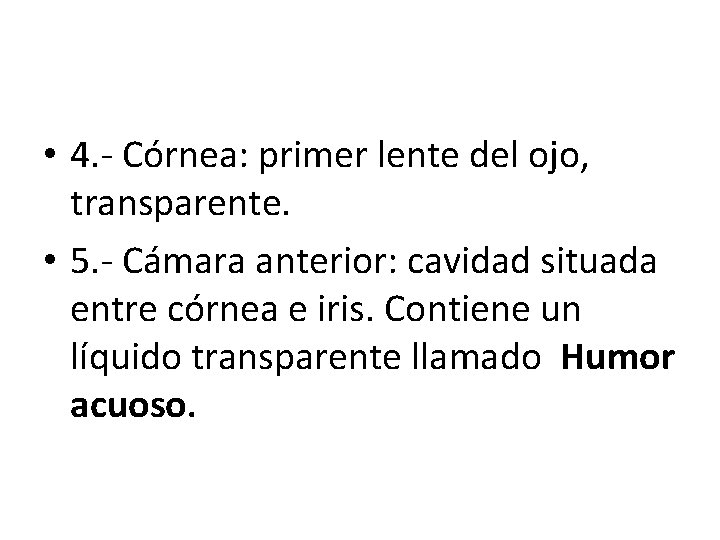  • 4. - Córnea: primer lente del ojo, transparente. • 5. - Cámara