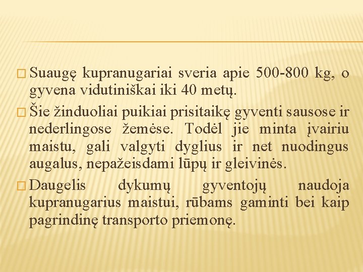 � Suaugę kupranugariai sveria apie 500 -800 kg, o gyvena vidutiniškai iki 40 metų.