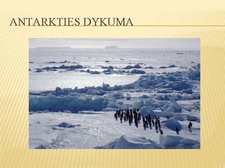 ANTARKTIES DYKUMA 