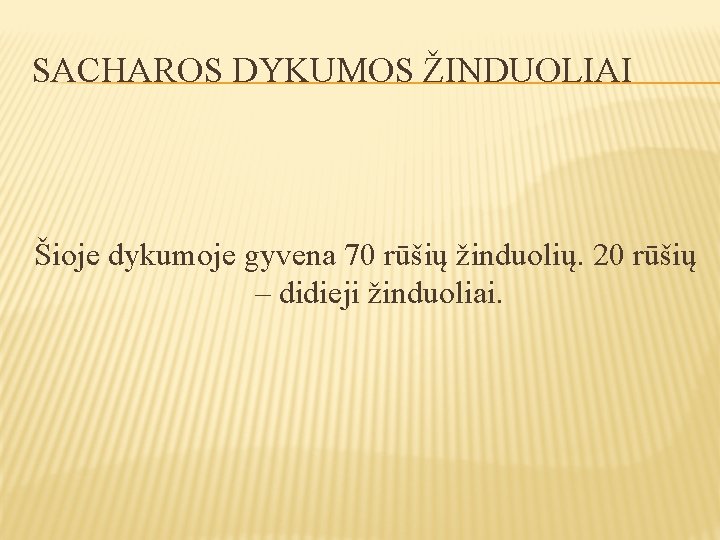 SACHAROS DYKUMOS ŽINDUOLIAI Šioje dykumoje gyvena 70 rūšių žinduolių. 20 rūšių – didieji žinduoliai.