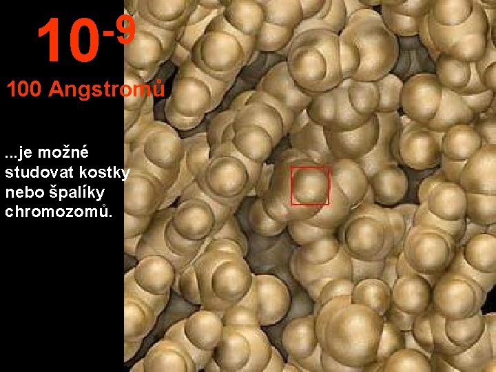 -9 10 100 Angstromů. . . je možné studovat kostky nebo špalíky chromozomů. 