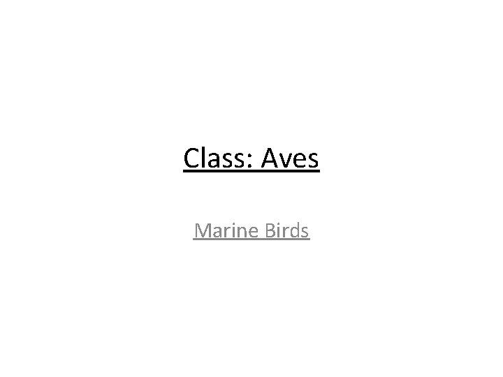 Class: Aves Marine Birds 