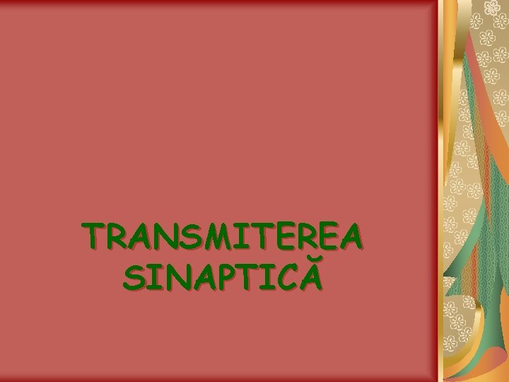 TRANSMITEREA SINAPTICĂ 