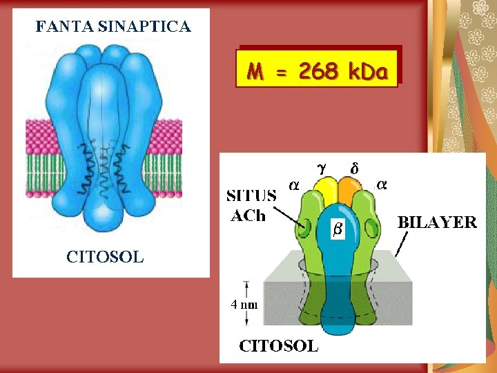 M = 268 k. Da 