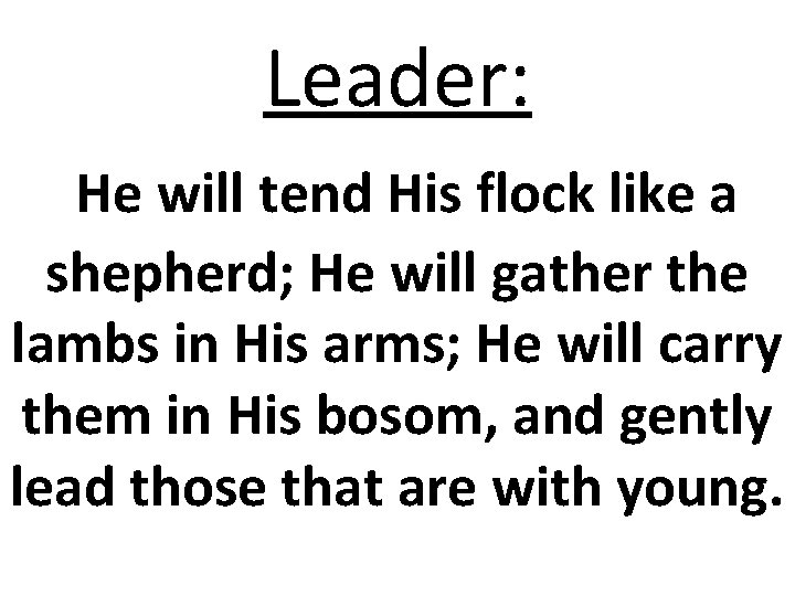 Leader: He will tend His flock like a shepherd; He will gather the lambs Leader: He will tend His flock like a shepherd; He will gather the lambs