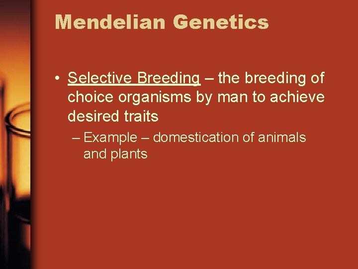 Mendelian Genetics • Selective Breeding – the breeding of choice organisms by man to