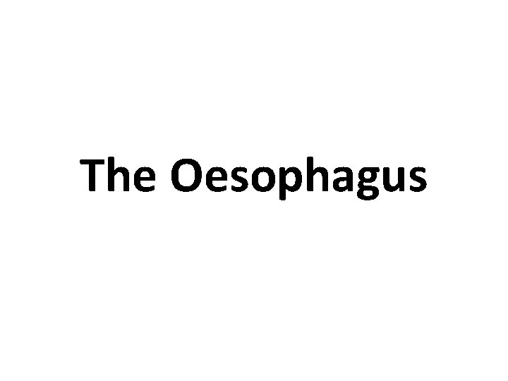 The Oesophagus 