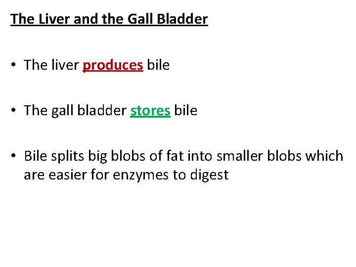 The Liver and the Gall Bladder • The liver produces bile • The gall