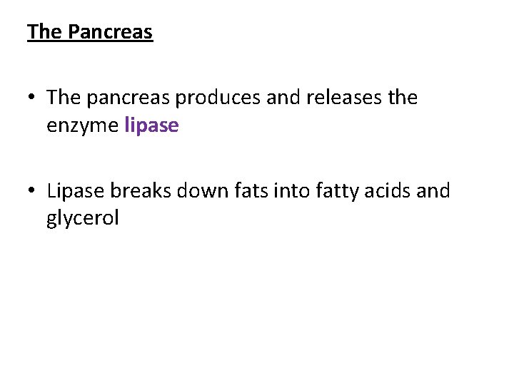 The Pancreas • The pancreas produces and releases the enzyme lipase • Lipase breaks