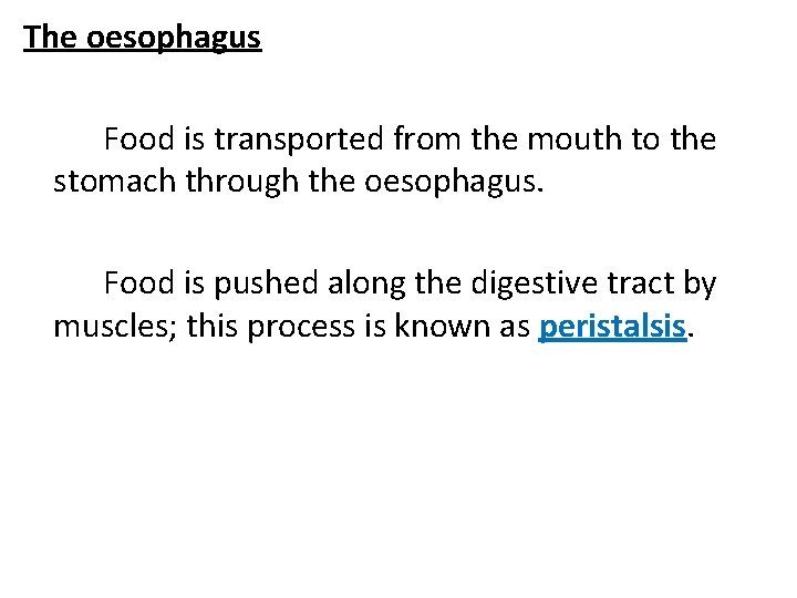 The oesophagus Food is transported from the mouth to the stomach through the oesophagus.